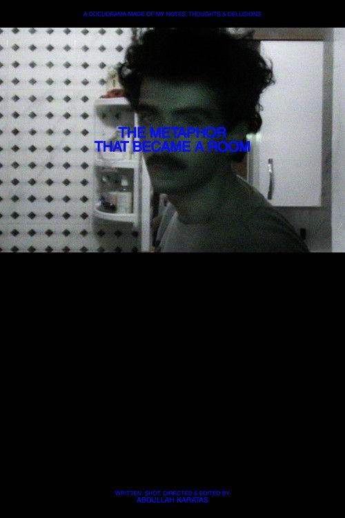 The Metaphor That Became a Room film afişi