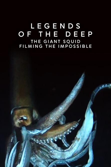 Legends of the Deep: The Giant Squid film afişi