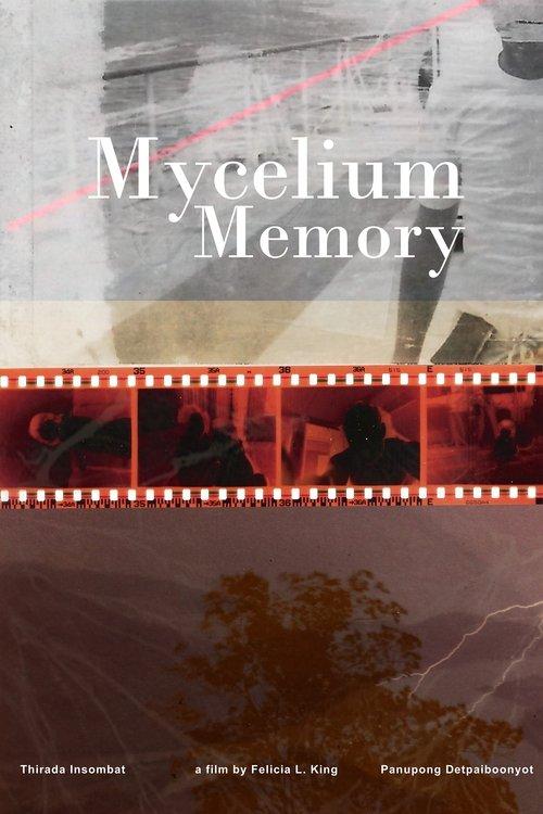 Mycelium Memory film afişi