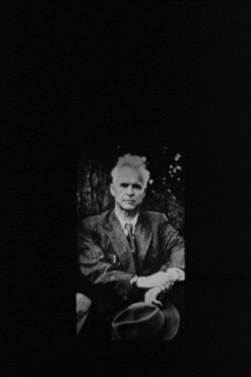 Oleksandr Dovzhenko. The Contemplations After Life film afişi