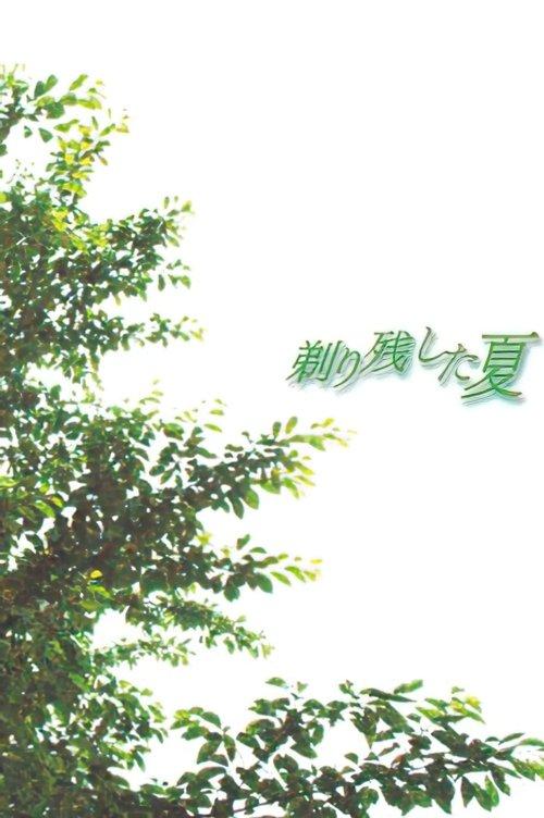 Summer of Leftover Stubble film afişi