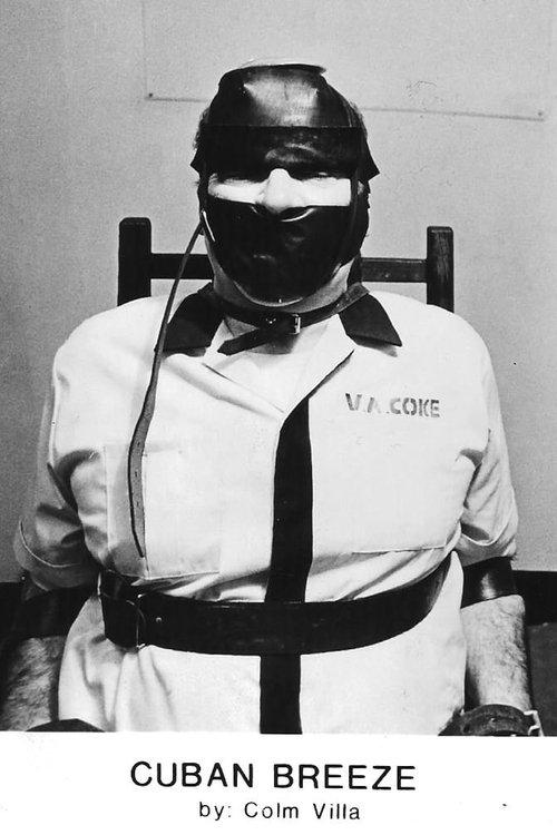 Cuban Breeze film afişi