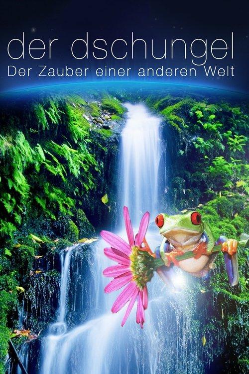 The Jungle 3D: Magic of Another World film afişi