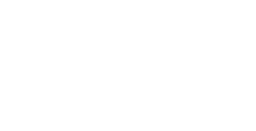 Princess for a Prince logo