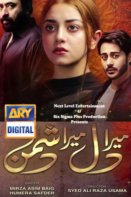 Mera Dil Mera Dushman dizi afişi