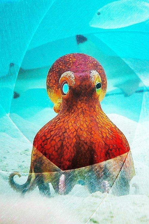 Spy in the Ocean, A Nature Miniseries Sezon 1