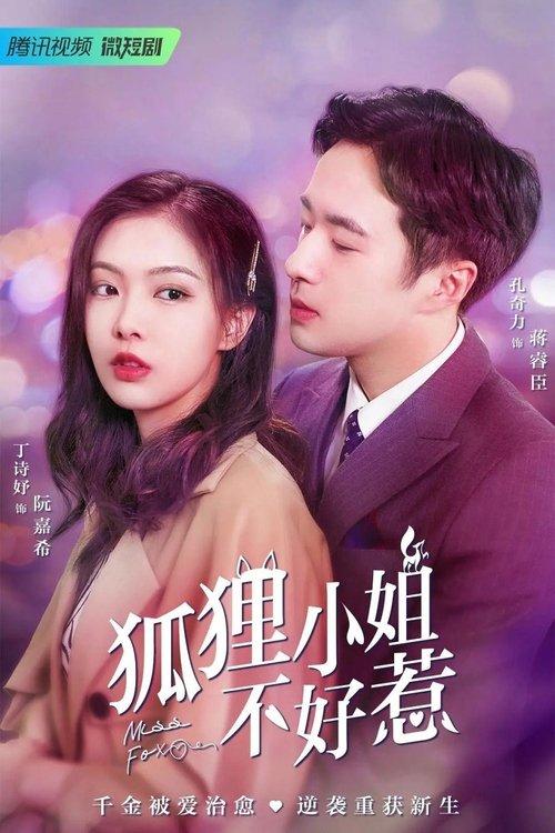 Miss Fox dizi afişi