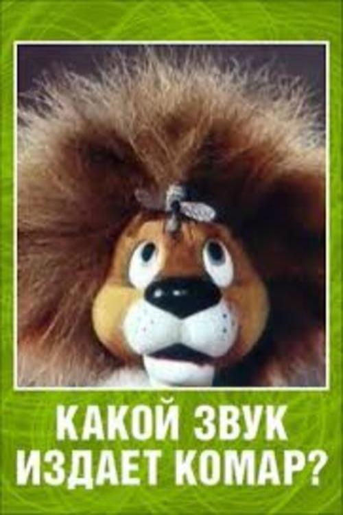 What Sound Does a Mosquito Make? film afişi