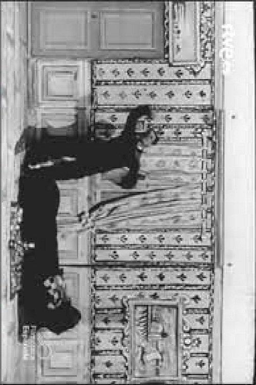 A Horrible Nightmare film afişi