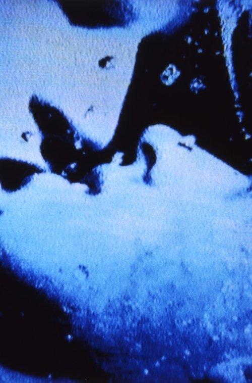 Self-Portrait in 23 Rounds: a Chapter in David Wojnarowicz’s Life, 1989–1991 film afişi