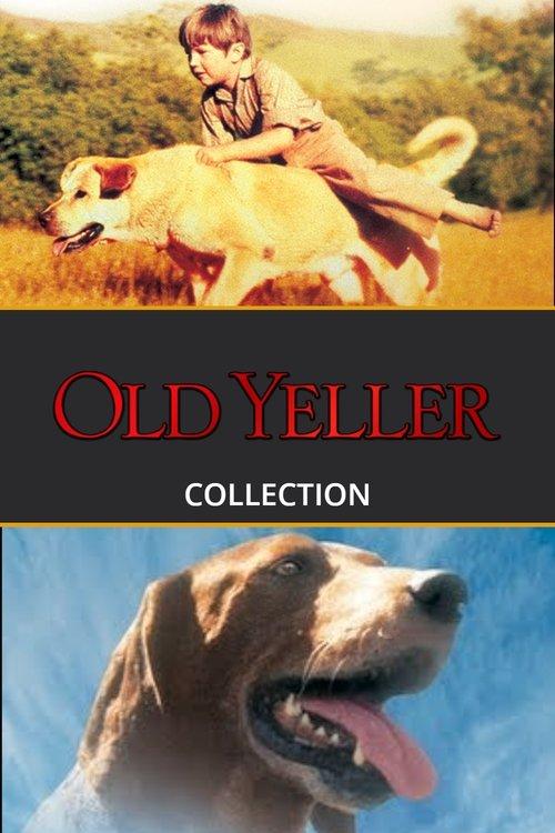 The Old Yeller Collection koleksiyon afişi