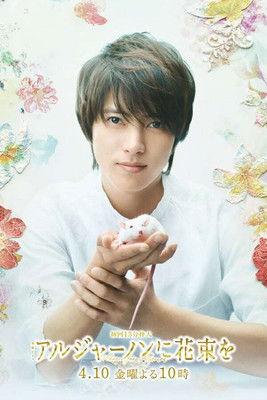 Flowers for Algernon Sezon 1