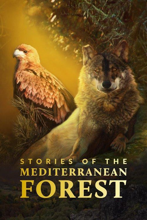 Stories of the Mediterranean Forest dizi afişi