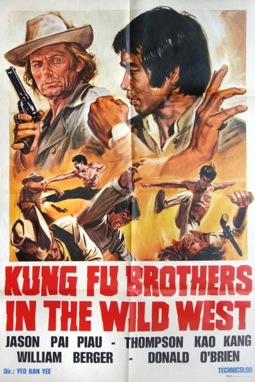 Kung Fu Brothers in the Wild West film afişi