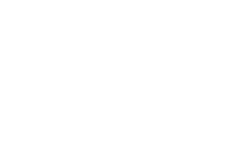 The Commandant's Shadow logo
