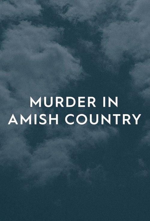 Murder in Amish Country dizi afişi