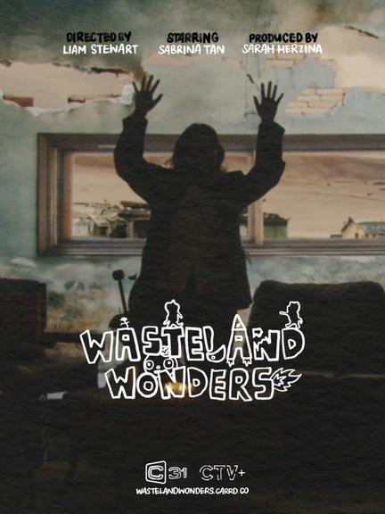 Wasteland Wonders dizi afişi