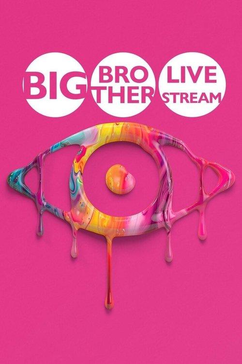 Big Brother: Live Stream Sezon 2