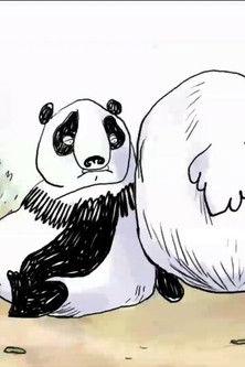 Pandas in the Mist Sezon 0