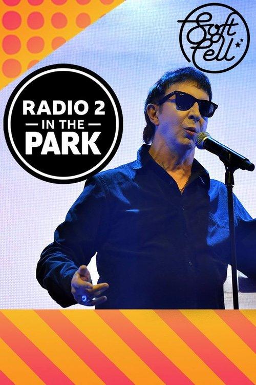 Soft Cell: Radio 2 in the Park film afişi