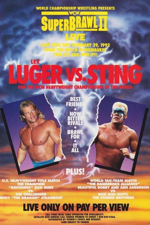 WCW SuperBrawl II film afişi