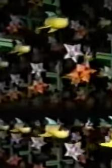 The Shape of Space film afişi