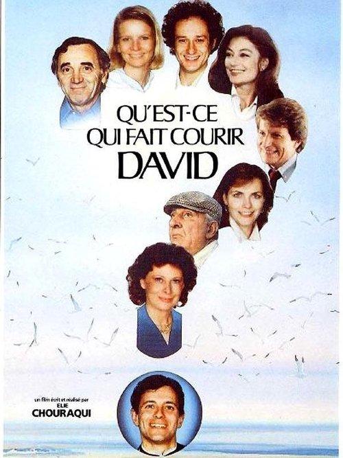 Qu'est-ce qui fait courir David ? film afişi