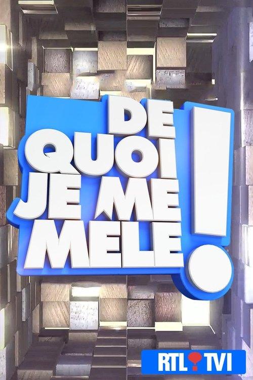 De quoi je me mêle ! dizi afişi