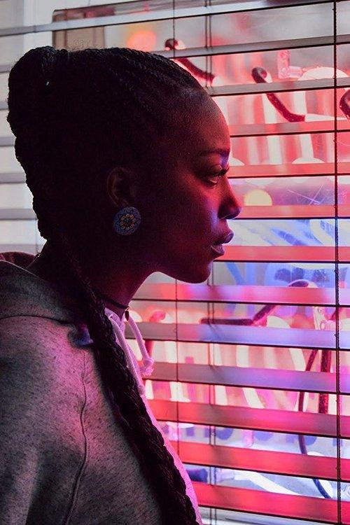 The Drop-In film afişi