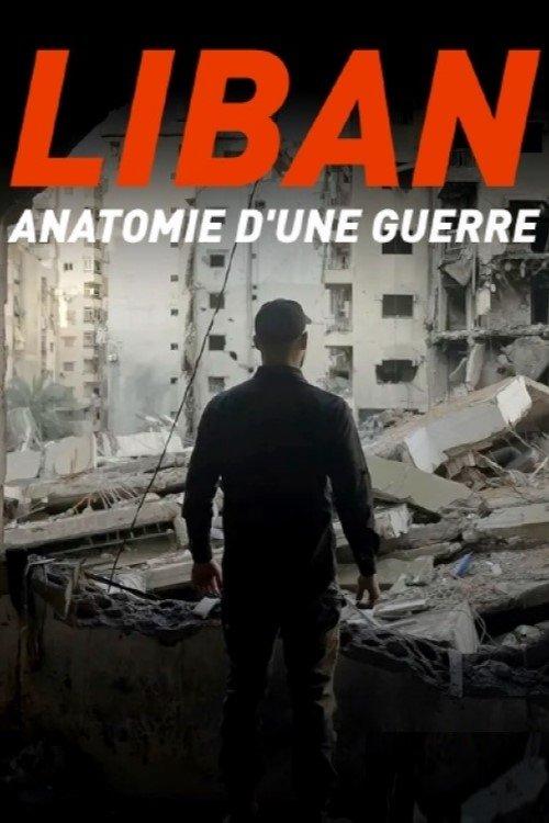 Liban : anatomie d'une guerre film afişi
