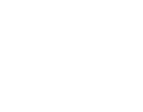 Callan Kicks The Year 2024 logo