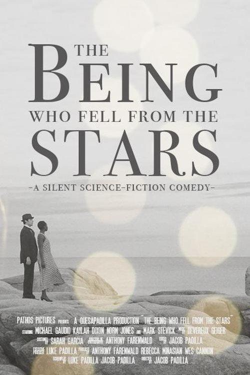 The Being Who Fell from the Stars film afişi