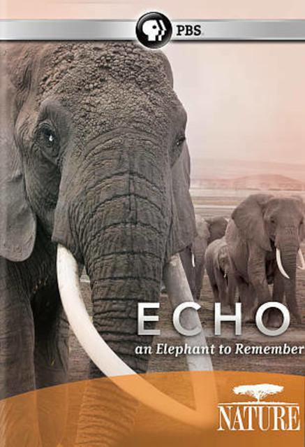 Echo: An Elephant to Remember film afişi