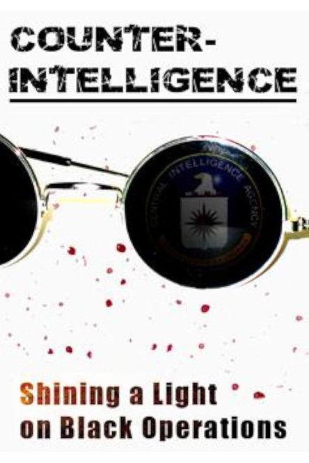 Counter-Intelligence dizi afişi