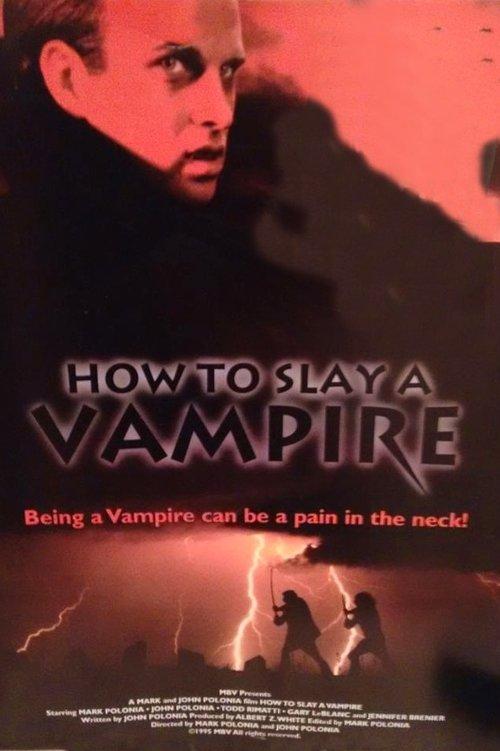 How to Slay a Vampire film afişi