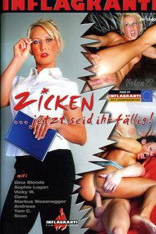 Zicken... jetzt seid ihr fällig! 7 film afişi
