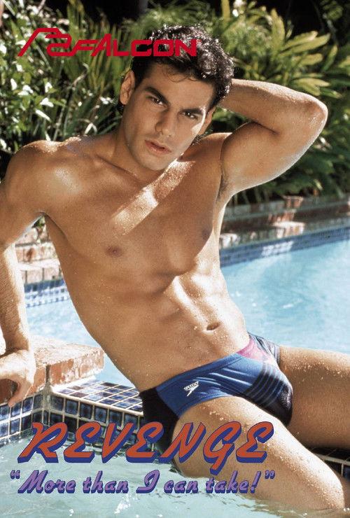 Revenge: More Than I Can Take film afişi