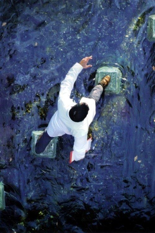 Alan Parsons - A valid path film afişi