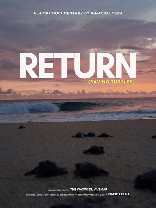 RETURN: Saving turtles film afişi