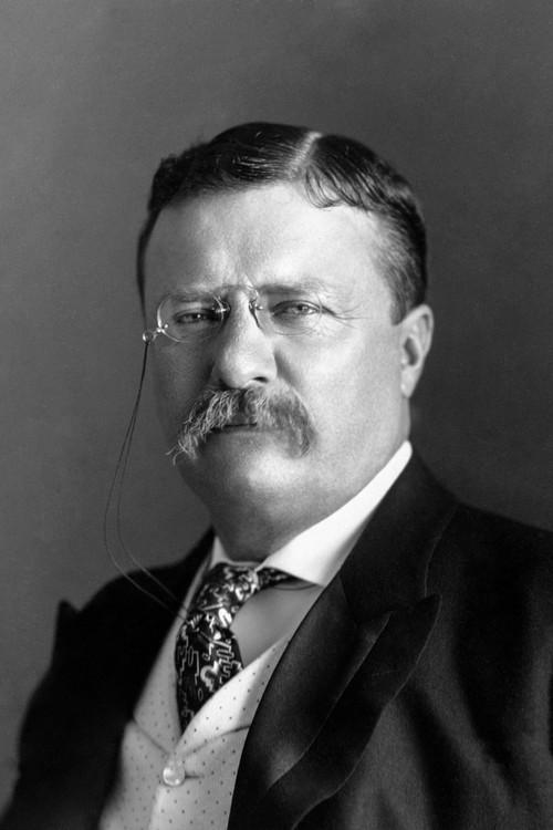 Theodore Roosevelt fotoğrafı