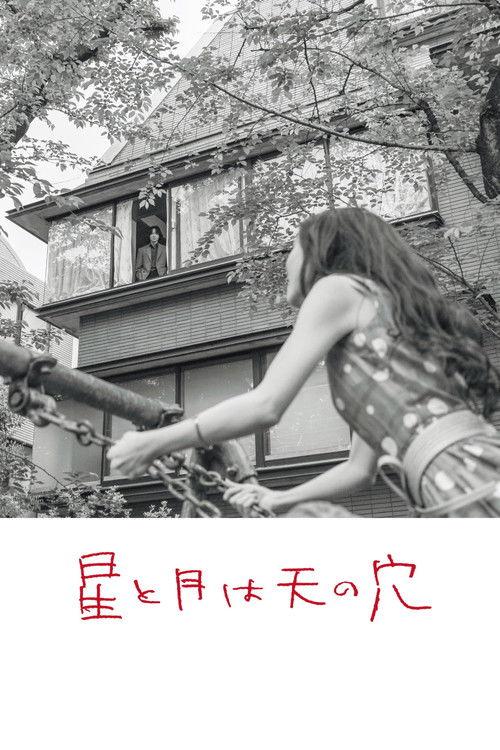 The Stars and the Moon are Holes in the Sky film afişi