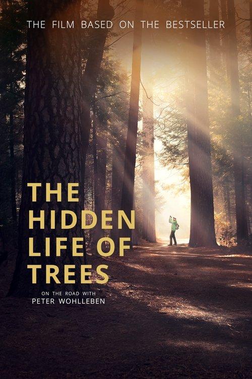 The Hidden Life of Trees film afişi
