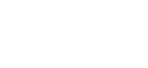 In the Line of Duty 5: Middle Man logo