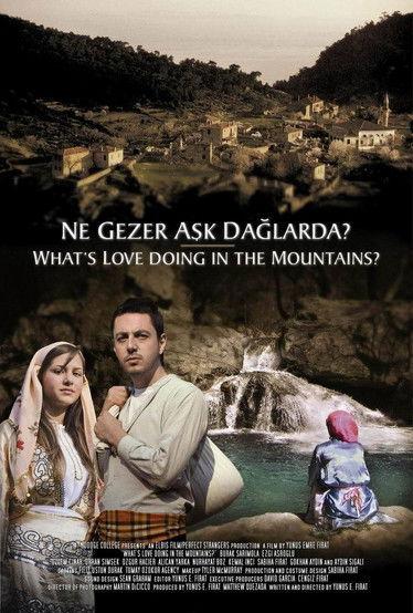 Ne Gezer Aşk Dağlarda? film afişi