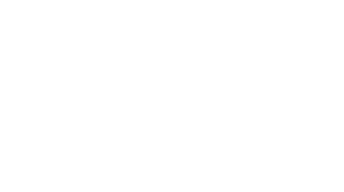 Bashar Shorts logo
