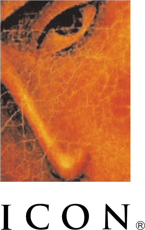 Icon Entertainment International logo