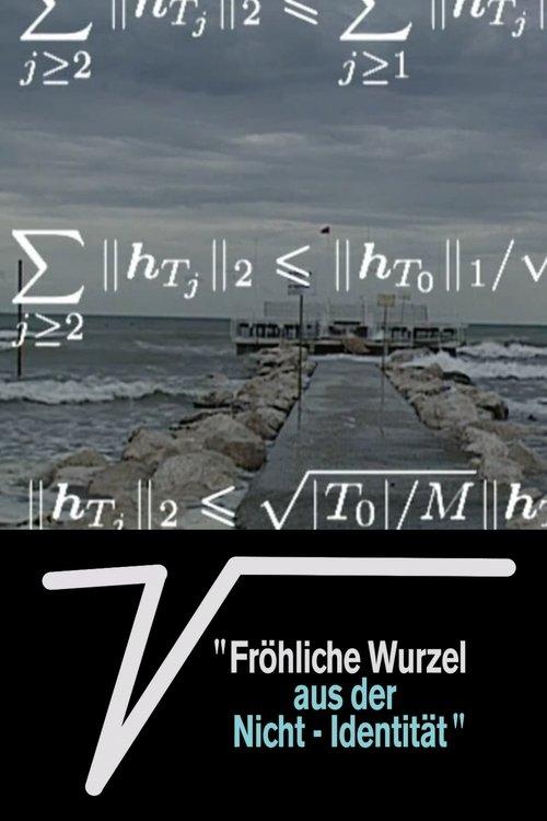 Happy Root From Non-Identity film afişi