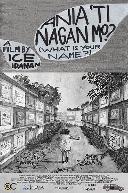 What is Your Name? film afişi