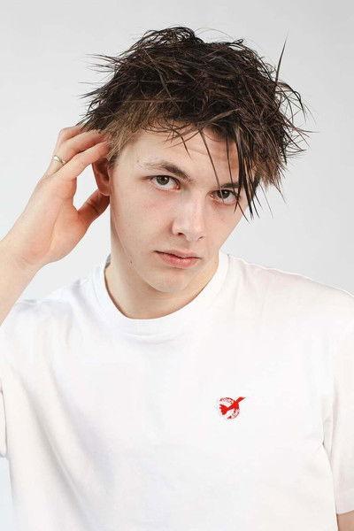 Domien Huybrechts fotoğrafı