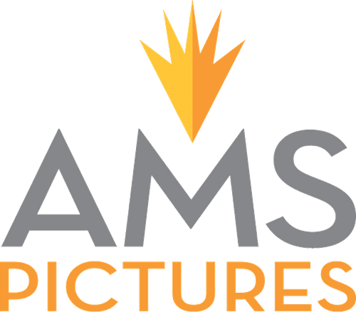 AMS Pictures logo